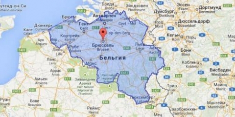 Koja je razlika između belgijske plave pasmine krava i drugih pasmina mesa